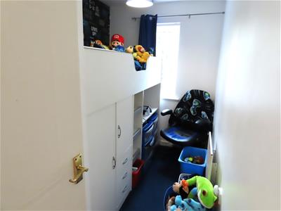 Picture 7